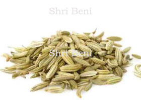 Fennel